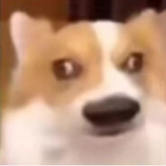 我的眼睛就是尺