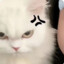 IU圈外男友
