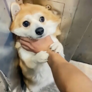 @JIE