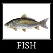 Mr_fish0=0