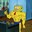 Everyone Him Guy Who Where