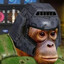 Chimp Taggart