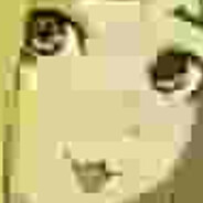 Roberrt Rroggia avatar