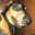 Nuts Steam avatar
