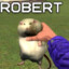 ROBERT