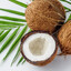 Coconut&lt;3