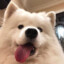 MIMU