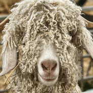 kAFEDZIEV^MKD - steam id 76561198993823664