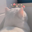 󠀡