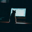 .hxst's avatar