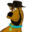 Player avatar
