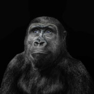 СВЯТОЙ ОБЕЗЬЯН