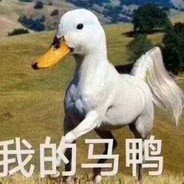 我的马鸭QAQ