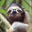 KleptoidSloth