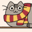 HarryPotterJunior