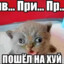 фронцуз