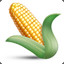 CornAddict