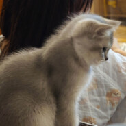 󠀡󠀡󠀡󠀡󠀡󠀡󠀡󠀡󠀡󠀡󠀡󠀡