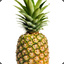 RoboticPineapple