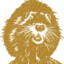 FranciXs-