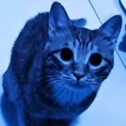 哎呦我第滴妈啊你别笑