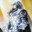 Sælger