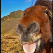 ✝КОНЬ✝ - steam id 76561199057399873