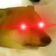 加油啊玩黄油的大哥哥