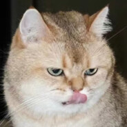 做个吃不胖的胖子