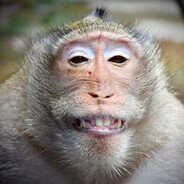 привет деменция