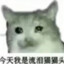紫光云总
