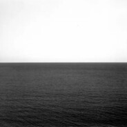 复方盐渍鲫鱼安定剂