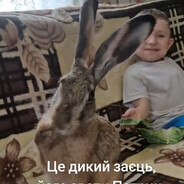 Petryk's avatar