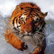 ~*ORHAN*~