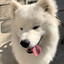kita