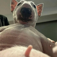 EcH!nOx - steam id 76561198144831092