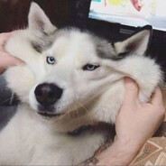凌晨五點的晚安