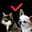 nekods