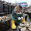 盯裆猫