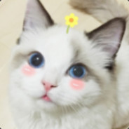 我不是跳伞指挥官