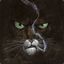 BLACKSAD