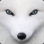 WhiteFox