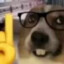 DDD