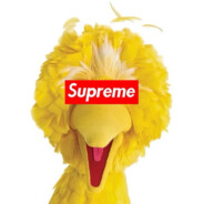 Supreme Bigbird