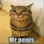 Mr Penis