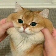 没关系都是二臂啊