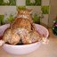 catchicken