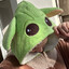 Yoda Streamer