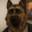 Don Lasagna avatar