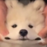 Temp's avatar